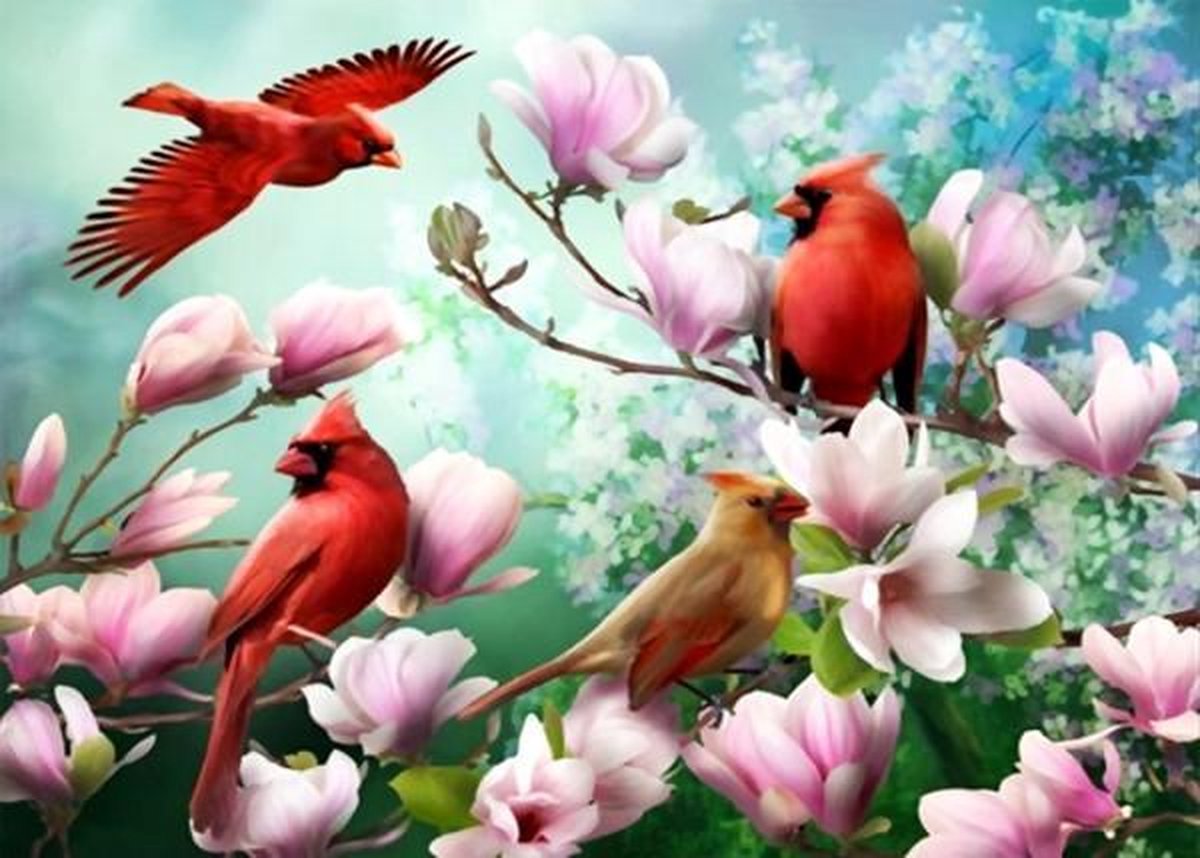 Full Diamond Painting Volwassenen  -  Ronde Steentjes  -  Volledig Pakket  - Hobby - Dieren - Rode vogels bij roze bloemen 30 x 40 cm