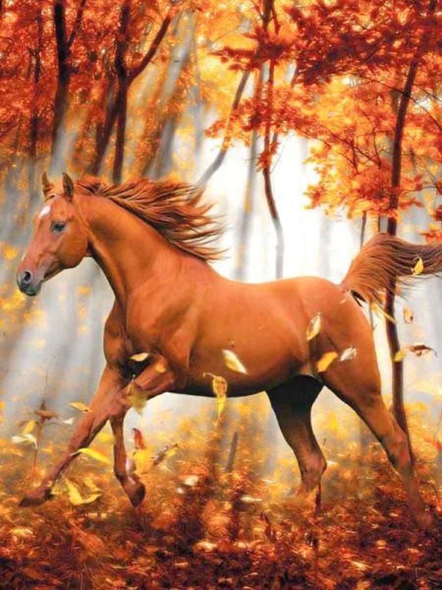 Full Diamond Painting Volwassenen  - Ronde Steentjes  - Volledig Pakket  - Hobby  - Dieren - Bruin paard in de herfst 30x40 cm