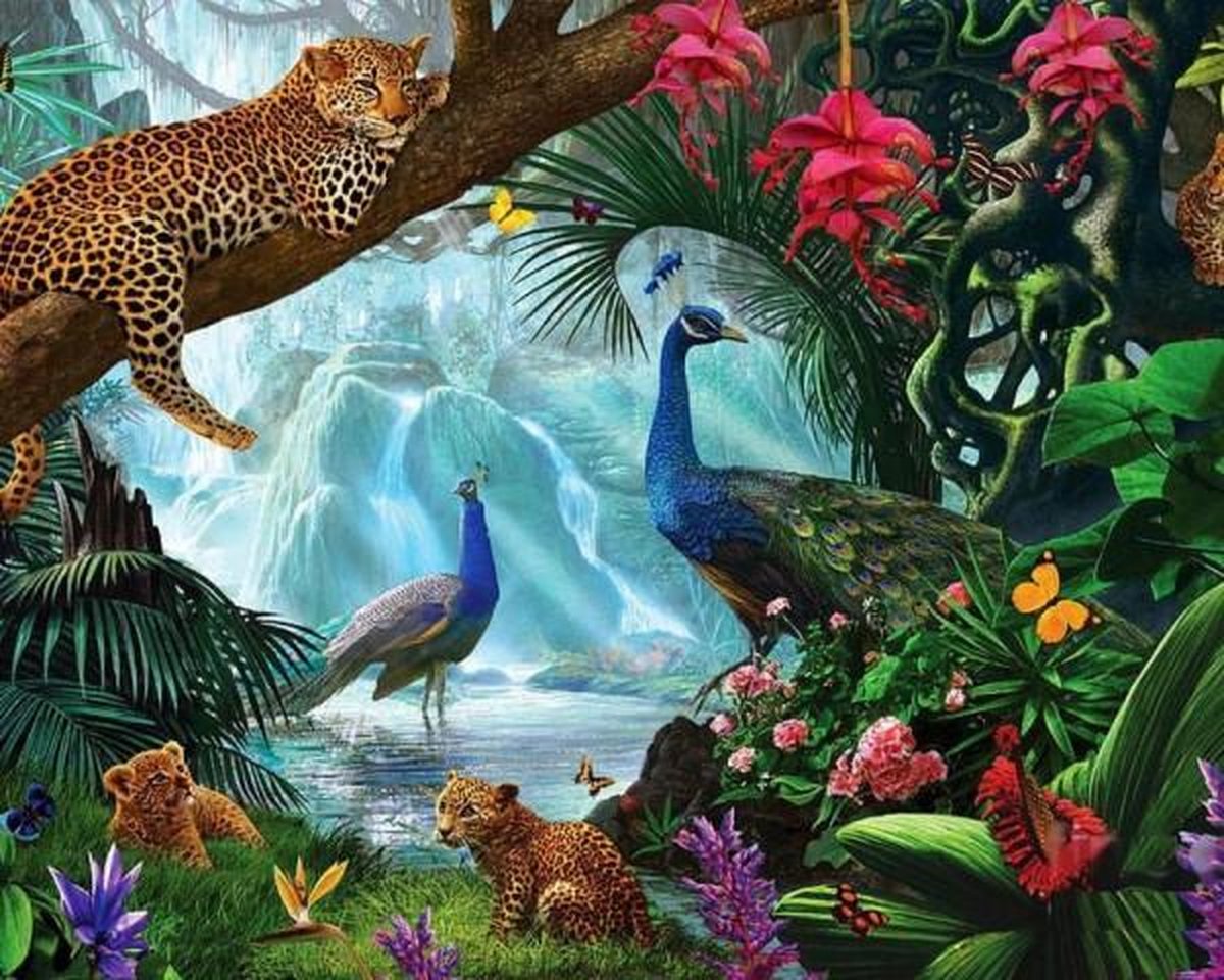 Full Diamond Painting Volwassenen  - Ronde Steentjes  - Volledig Pakket  - Hobby  - Dieren - De kleurrijke dieren van de jungle  50x40 cm