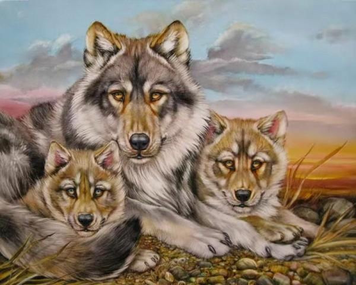 Full Diamond Painting Volwassenen  - Ronde Steentjes  - Volledig Pakket  - Hobby  - Dieren - Drie wolven  30x40 cm