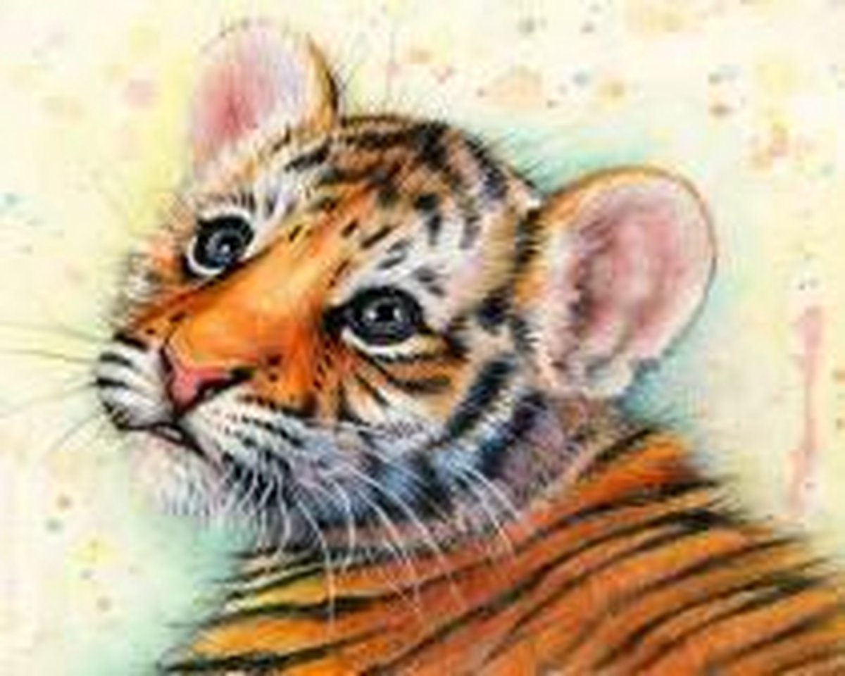 Full Diamond Painting Volwassenen  - Ronde Steentjes  - Volledig Pakket  - Hobby  - Dieren - Kleine Baby Tijger 20x30cm