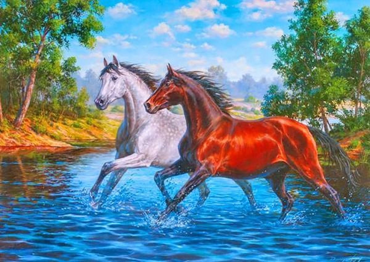 Full Diamond Painting Volwassenen  - Ronde Steentjes  - Volledig Pakket  - Hobby  - Dieren - Paarden rennen door het water  50x40 cm