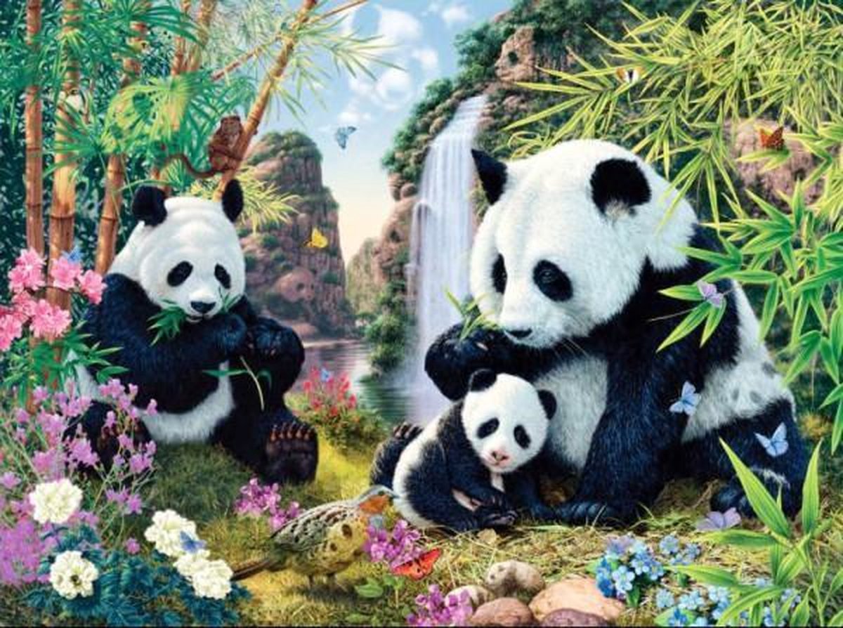 Full Diamond Painting Volwassenen  - Ronde Steentjes  - Volledig Pakket  - Hobby  - Dieren - Panda familie in de jungle  50x40 cm