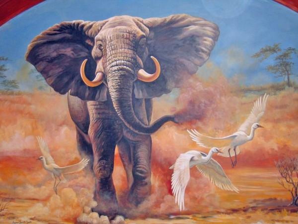 Full Diamond Painting Volwassenen  - Ronde Steentjes  - Volledig Pakket  - Hobby  - Dieren - Rennende Olifant 50x40 cm