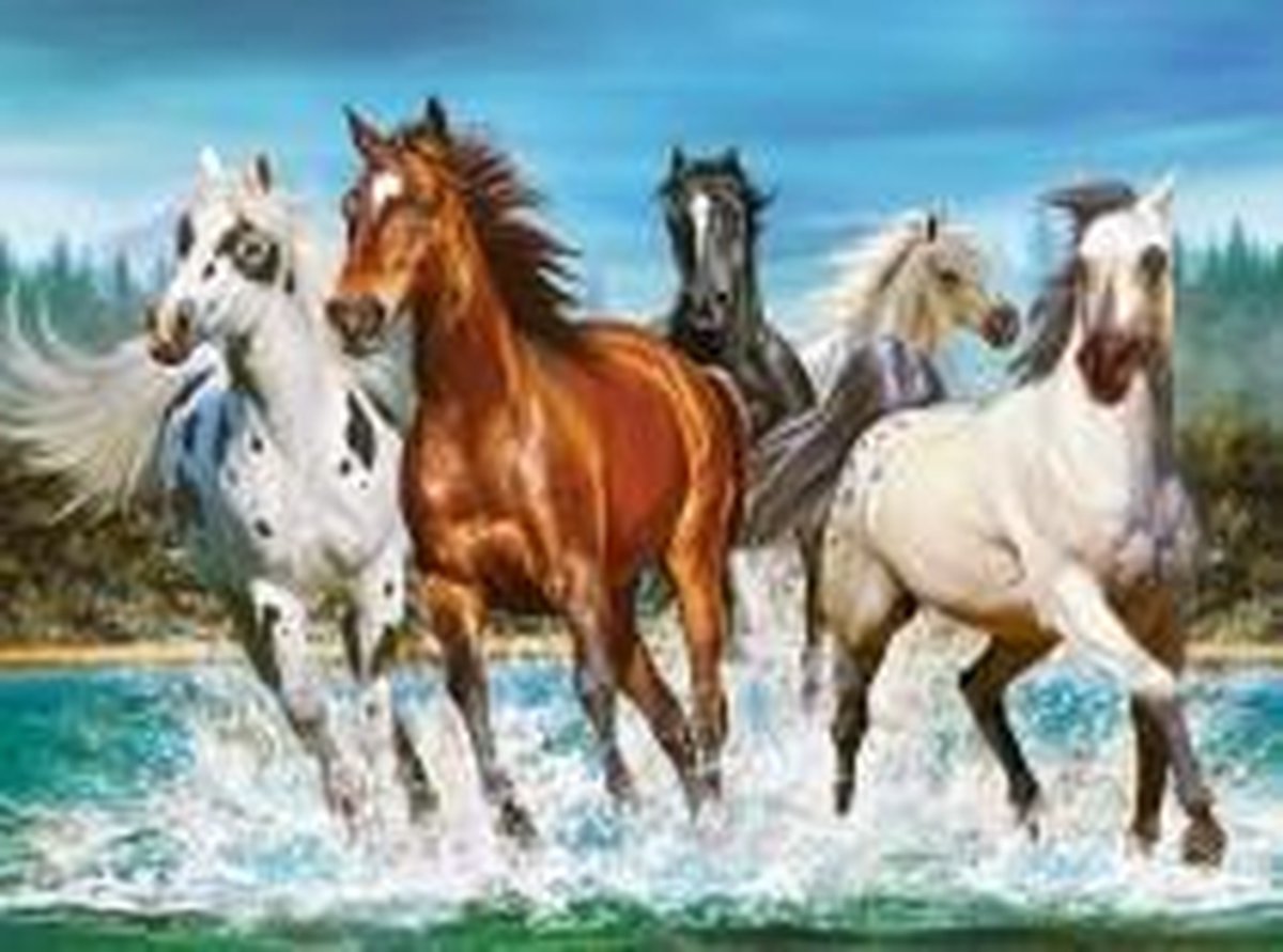 Full Diamond Painting Volwassenen  - Ronde Steentjes  - Volledig Pakket  - Hobby  - Dieren - Rennende Wilde Paarden in het water 30x40cm