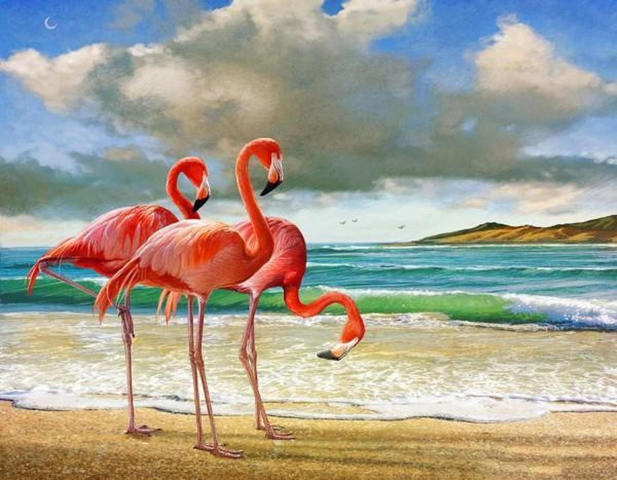 Full Diamond Painting Volwassenen  - Ronde Steentjes  - Volledig Pakket  - Hobby  - Dieren - Roze Flamingos op Tropisch Strand  30x40 cm