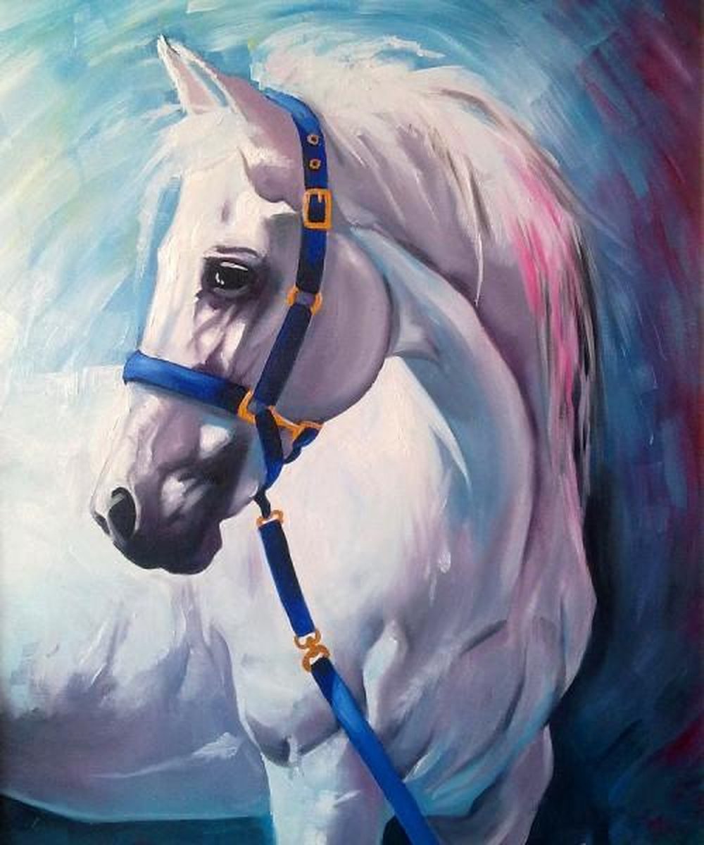 Full Diamond Painting Volwassenen  - Ronde Steentjes  - Volledig Pakket  - Hobby  - Dieren - Schilderij van een wit paard  30x40 cm