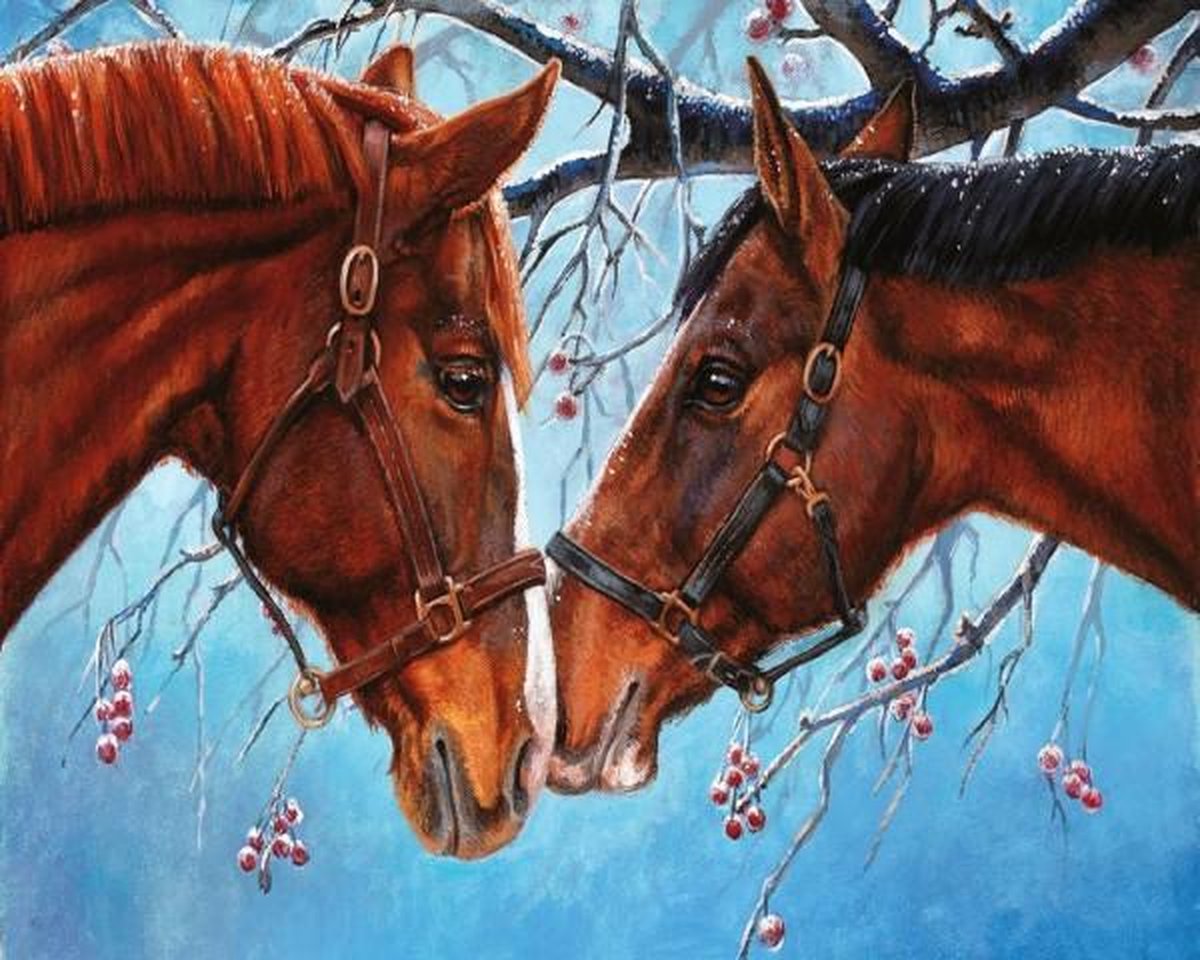 Full Diamond Painting Volwassenen  - Ronde Steentjes  - Volledig Pakket  - Hobby  - Dieren - Schilderij van twee bruine paarden 30x40 cm