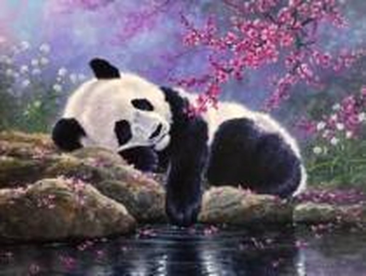 Full Diamond Painting Volwassenen  - Ronde Steentjes  - Volledig Pakket  - Hobby  - Dieren - Slapende Panda bij de kersenbloesem 30x40cm