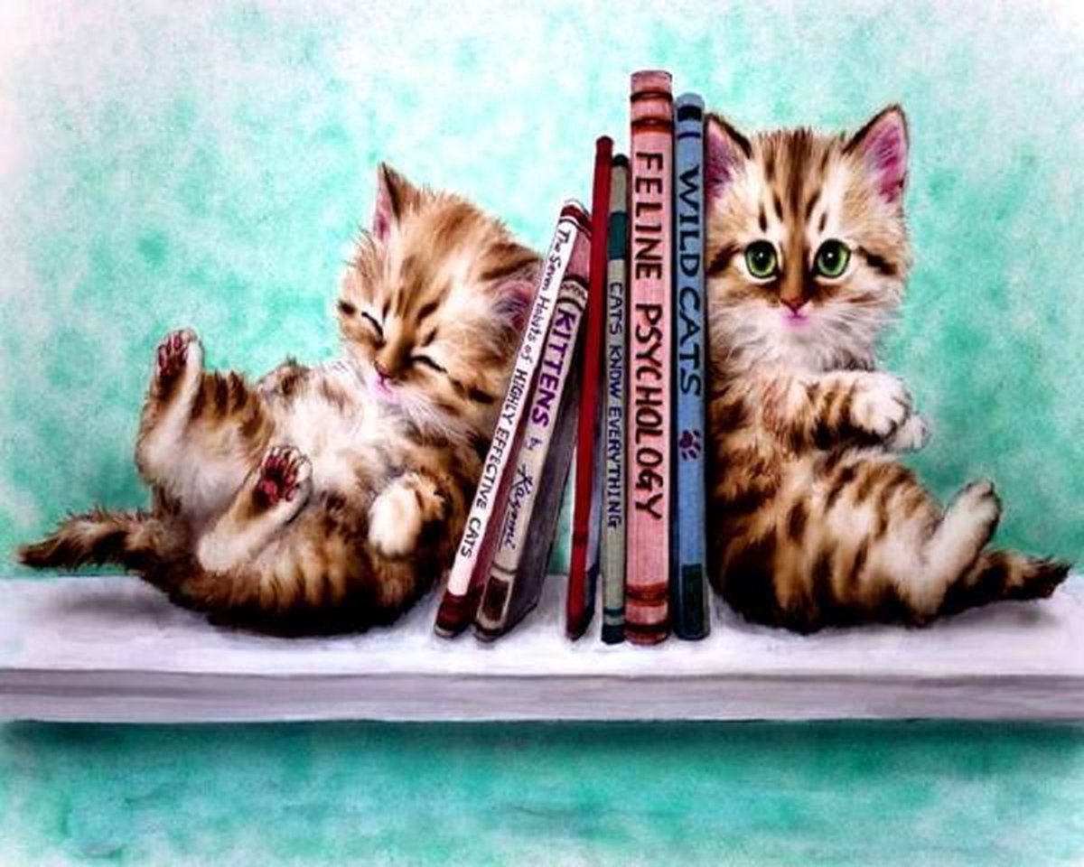 Full Diamond Painting Volwassenen  - Ronde Steentjes  - Volledig Pakket  - Hobby  - Dieren - Twee Kittens op de boekenplank  30x40 cm