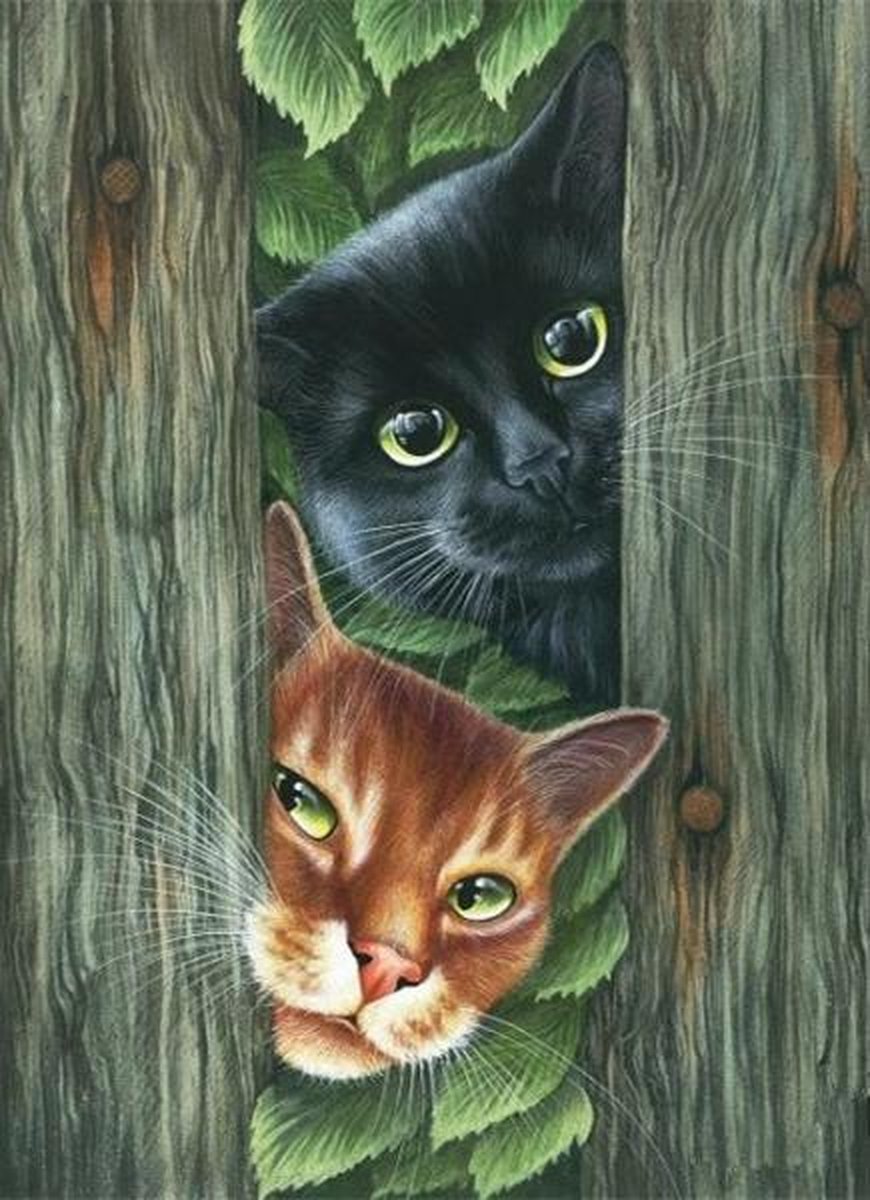 Full Diamond Painting Volwassenen  - Ronde Steentjes  - Volledig Pakket  - Hobby  - Dieren - Twee nieuwsgierige katten   30x40 cm