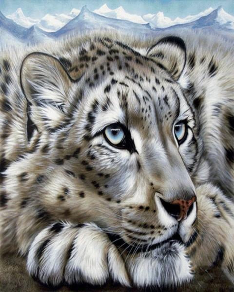 Full Diamond Painting Volwassenen  - Ronde Steentjes  - Volledig Pakket  - Hobby  - Dieren - Witte Tijger met blauwe ogen 30x40 cm