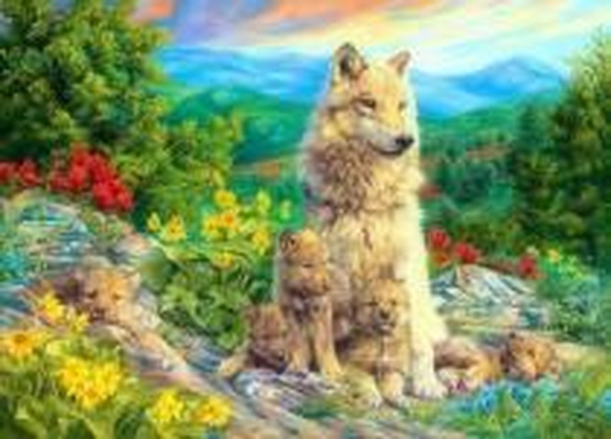 Full Diamond Painting Volwassenen  - Ronde Steentjes  - Volledig Pakket  - Hobby  - Dieren - Wolf tussen de wilde bloemen 30x40cm