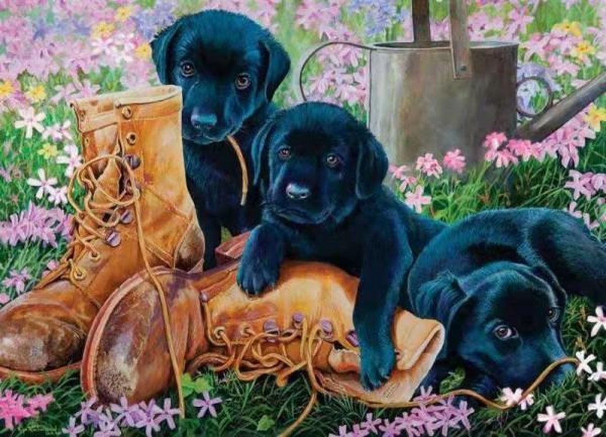 Full Diamond Painting Volwassenen  - Ronde Steentjes  - Volledig Pakket  - Hobby  - Dieren - Zwarte puppys spelen met schoenen 30x40 cm