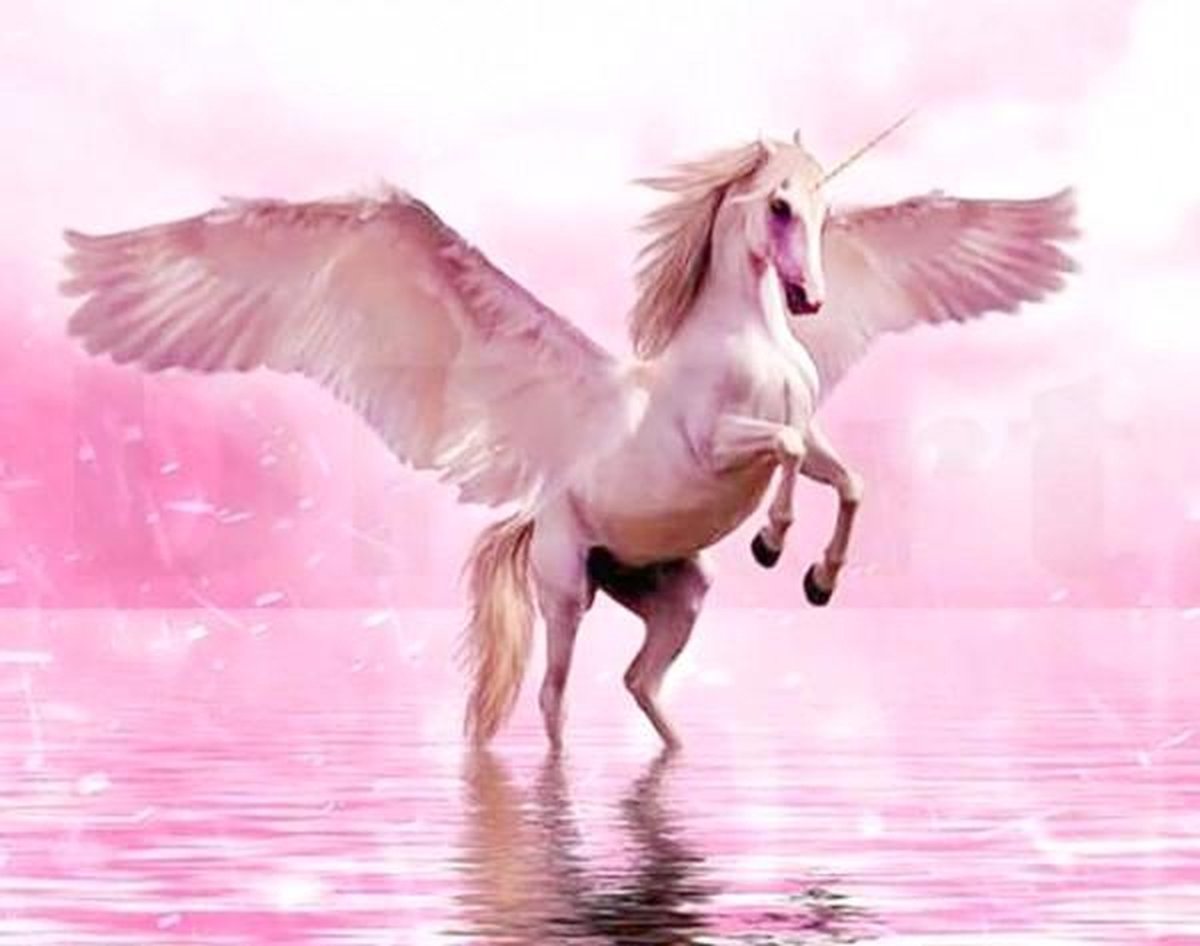 Full Diamond Painting Volwassenen  - Ronde Steentjes  - Volledig Pakket  - Hobby  - Fantasy - Dieren - Pegasus met roze achtergrond 30x40 cm