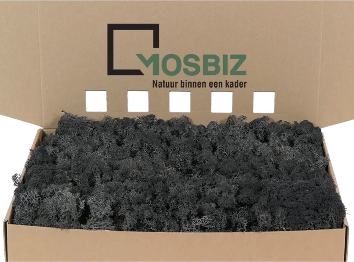 MosBiz Rendiermos Black per 1000 gram voor decoraties en mosschilderijen