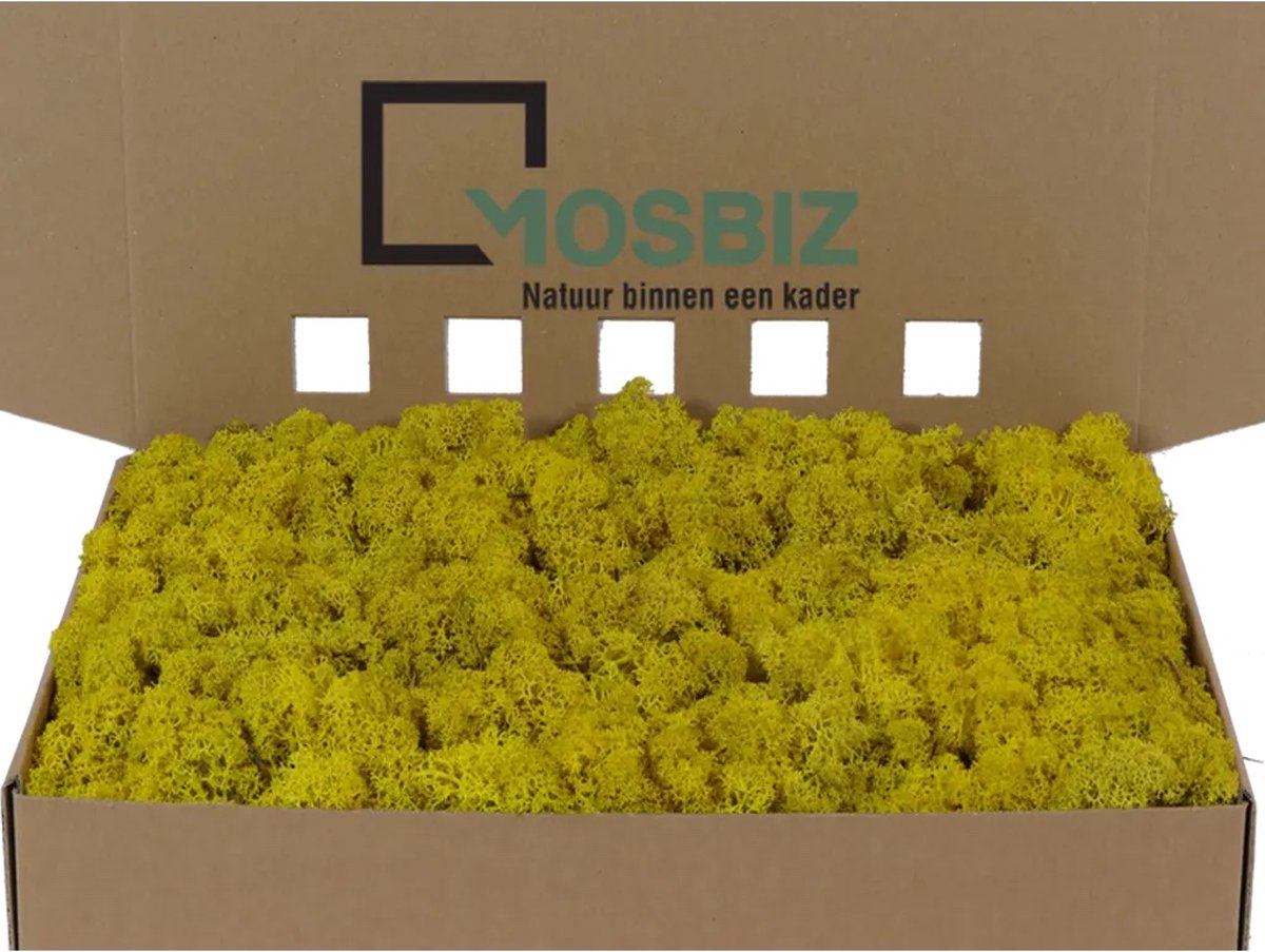 MosBiz Rendiermos Lemon per 1000 gram voor decoraties en mosschilderijen