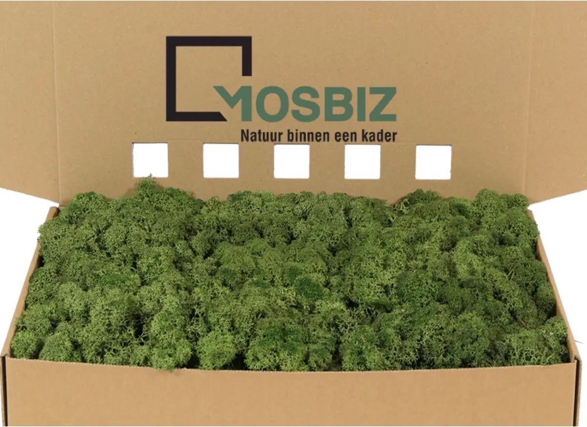 MosBiz Rendiermos Moss green per 1000 gram voor decoraties en mosschilderijen