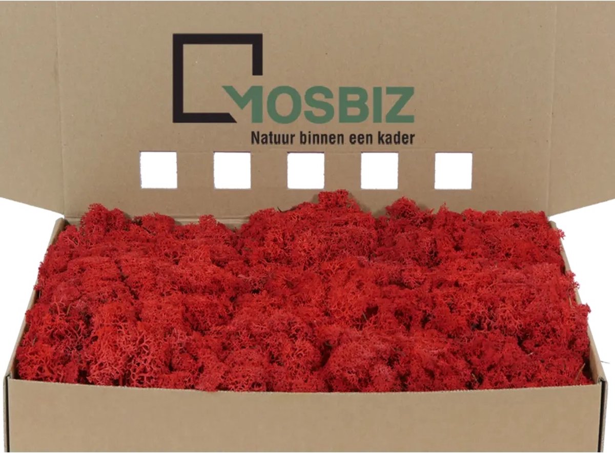 MosBiz Rendiermos Red per 1000 gram voor decoraties en mosschilderijen