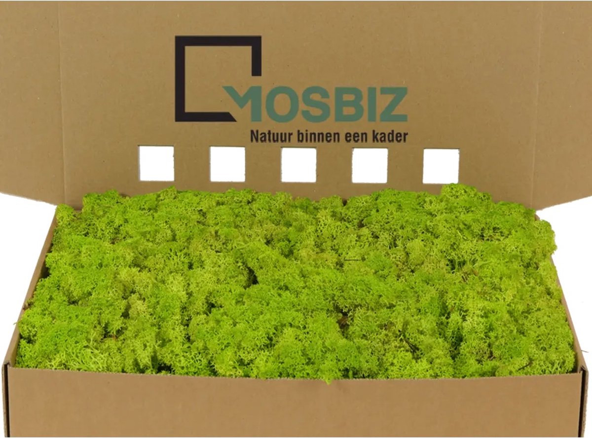 MosBiz Rendiermos Spring Green per 1000 gram voor decoraties en mosschilderijen