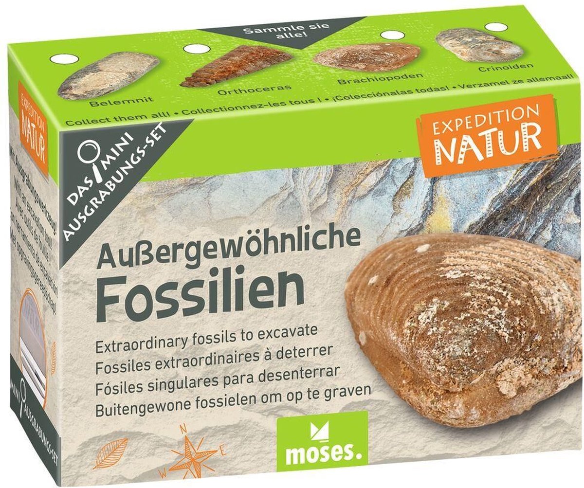 Moses Uithakset Expedition Natur Fossielen Junior 4-delig