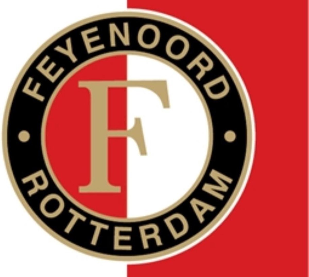 Feyenoord - Diamond painting - Vierkante steentjes - 30x40cm - 5D - compleet set - ontspannen - kinderen - volwassenen