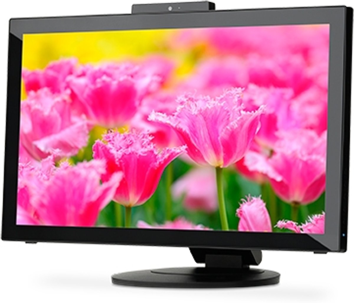 NEC E232WMT - Monitor