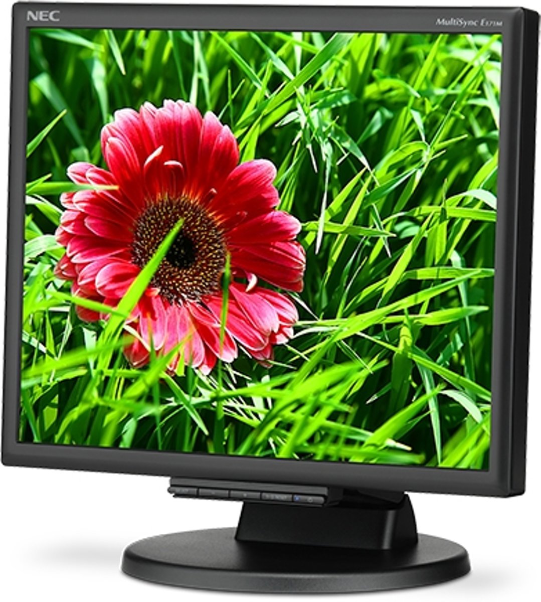 NEC Multisync E171M - Monitor