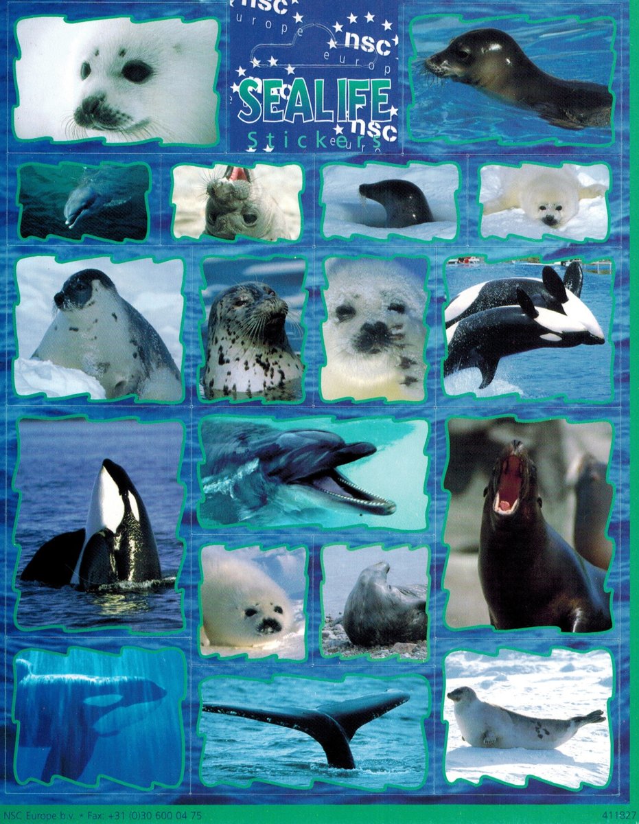 Sealife Dieren Stickers - Dolfijn, Zeehond, Orka