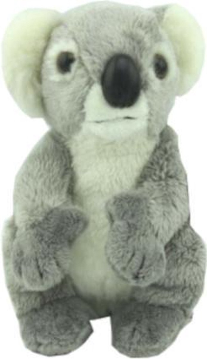 knuffelkoala Baby Australia 20 cm pluche