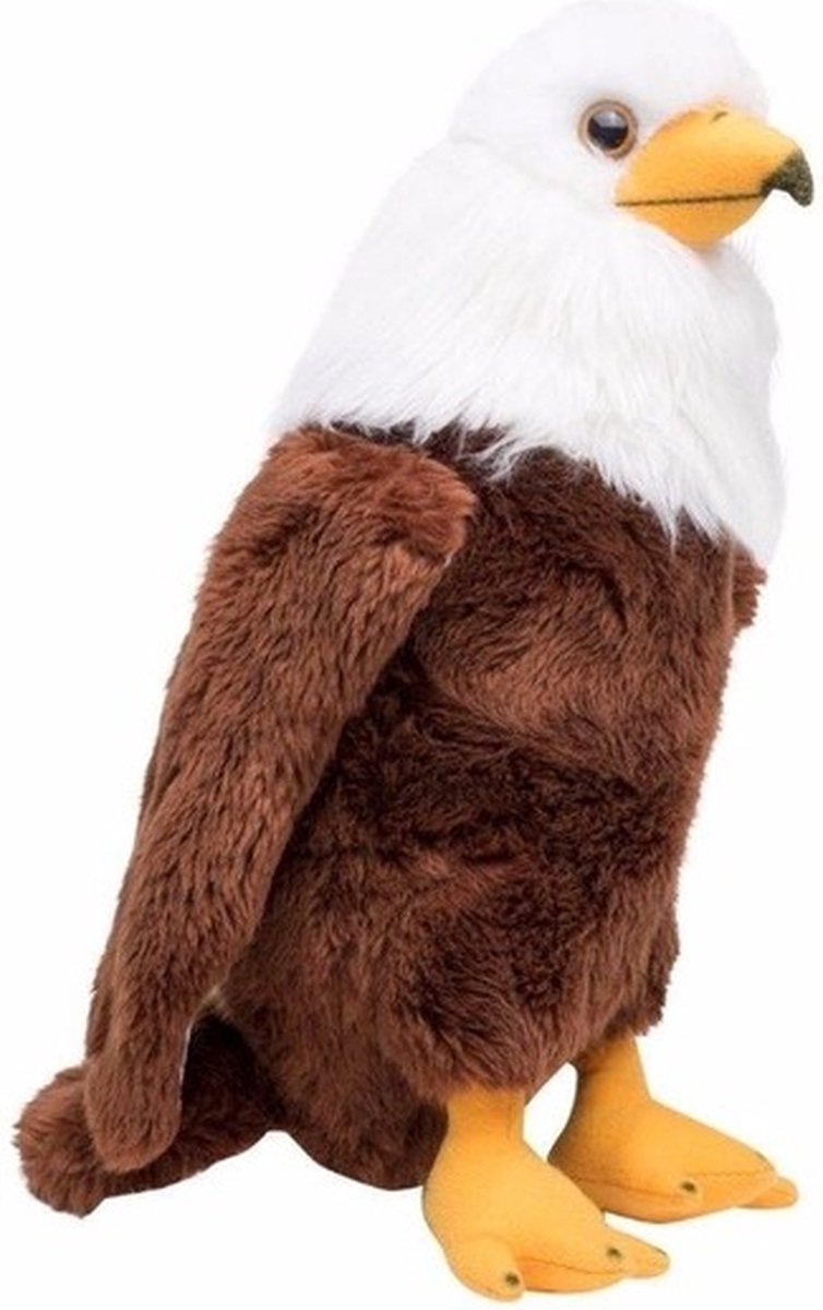 Pluche Amerikaanse zeearend knuffel 30 cm - roofvogels knuffels