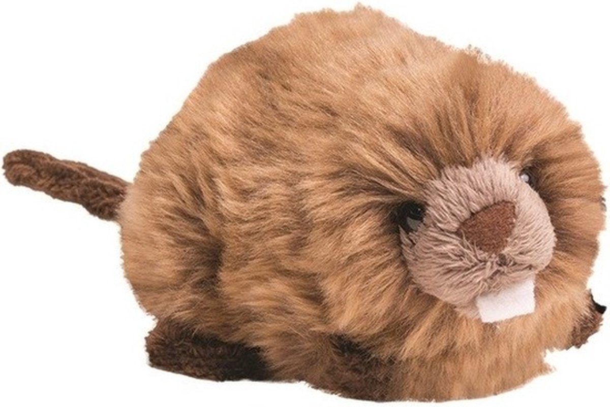 Pluche bruine bever knuffel 19 cm - Bevers knaagdieren knuffels - Speelgoed