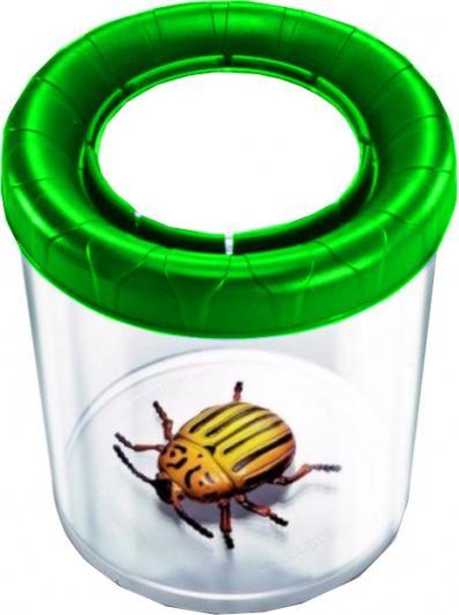 insectenpot junior 10 x 10 cm transparant/groen