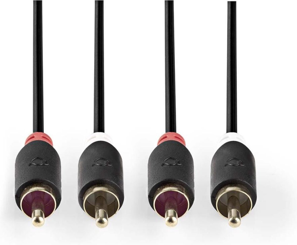 Nedis CABP24200AT30 Stereo Audiokabel 2x Rca Male - 2x Rca Male 3,0 M Antraciet