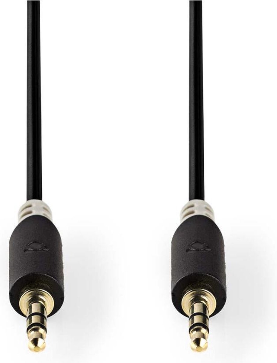 Nedis CABW22000AT100 Stereo Audiokabel 3,5 Mm Male - 3,5 Mm Male 10 M Antraciet