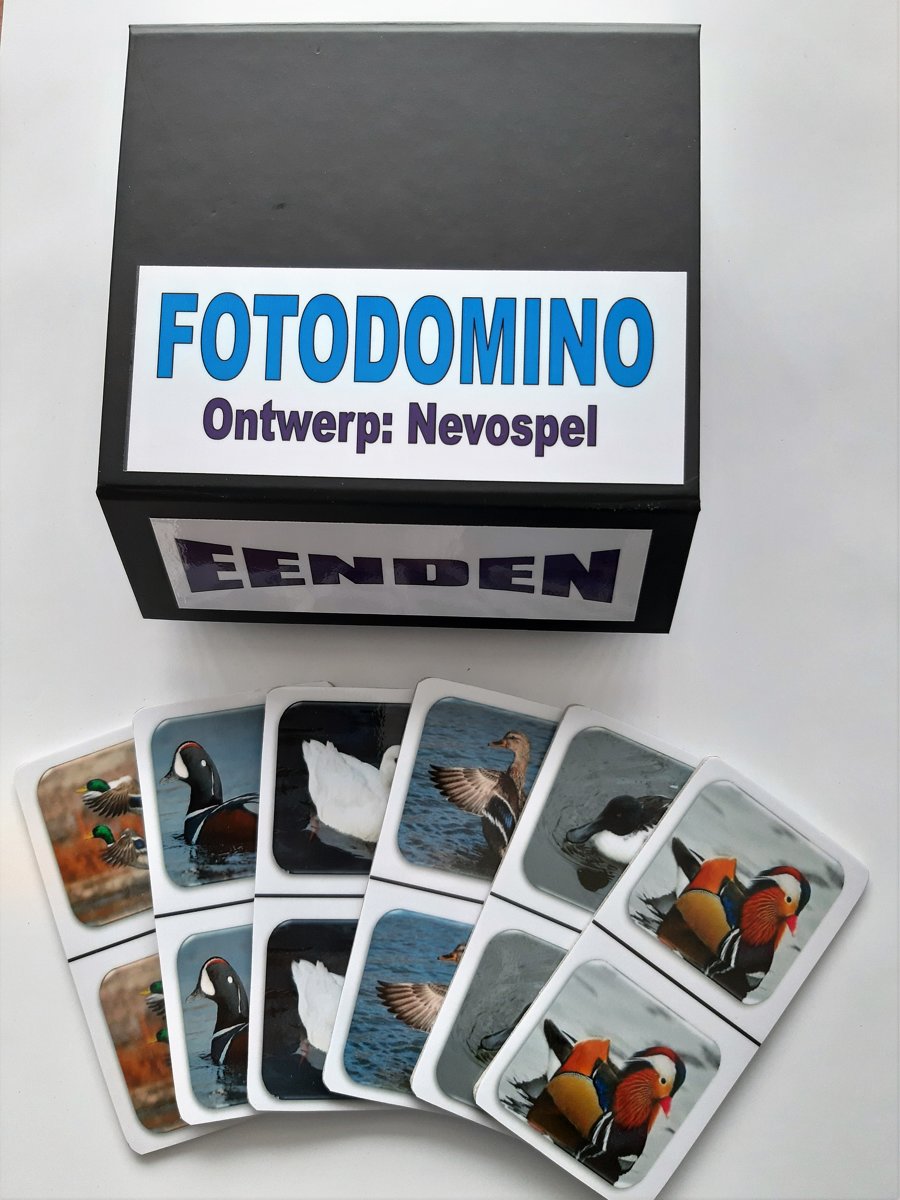 Dementie? FotoDomino Eenden