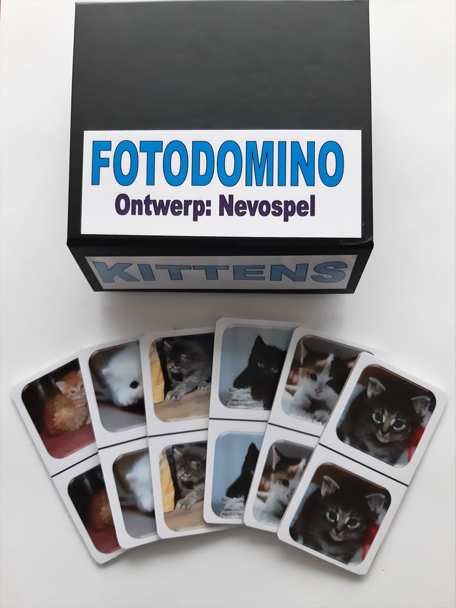 Dementie? FotoDomino Kittens