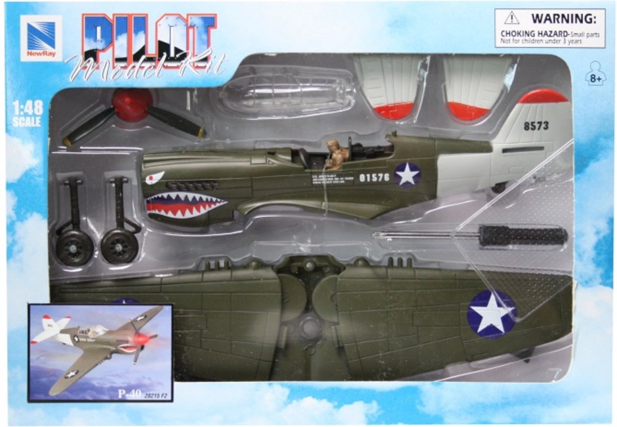 Newray 1:48 vliegtuig kit p-40