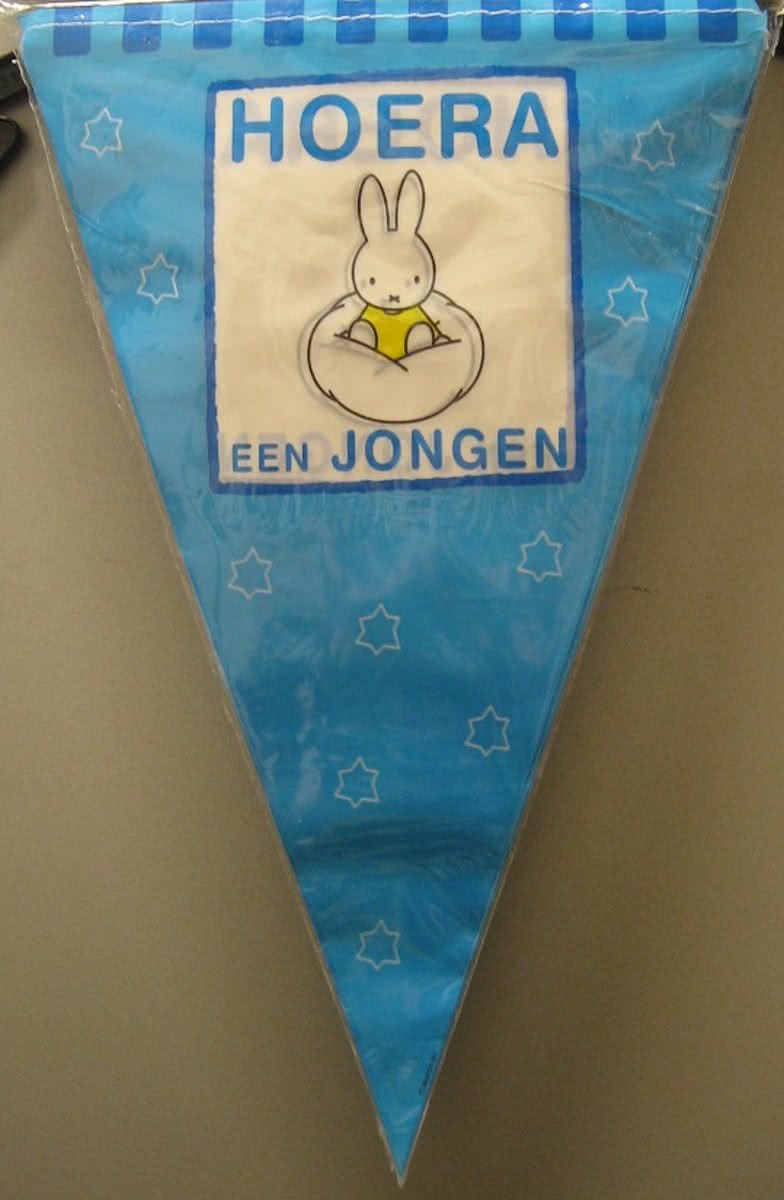 vlaggenlijn geboorte jongen - Nijntje - 6m