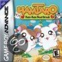 Hamtaro, Ham-Ham, Heartbreak