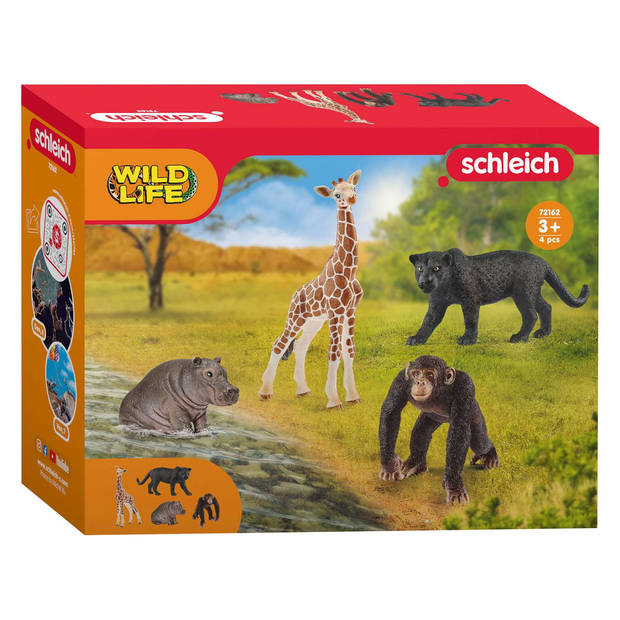 Schleich WILD LIFE Starterset 72162