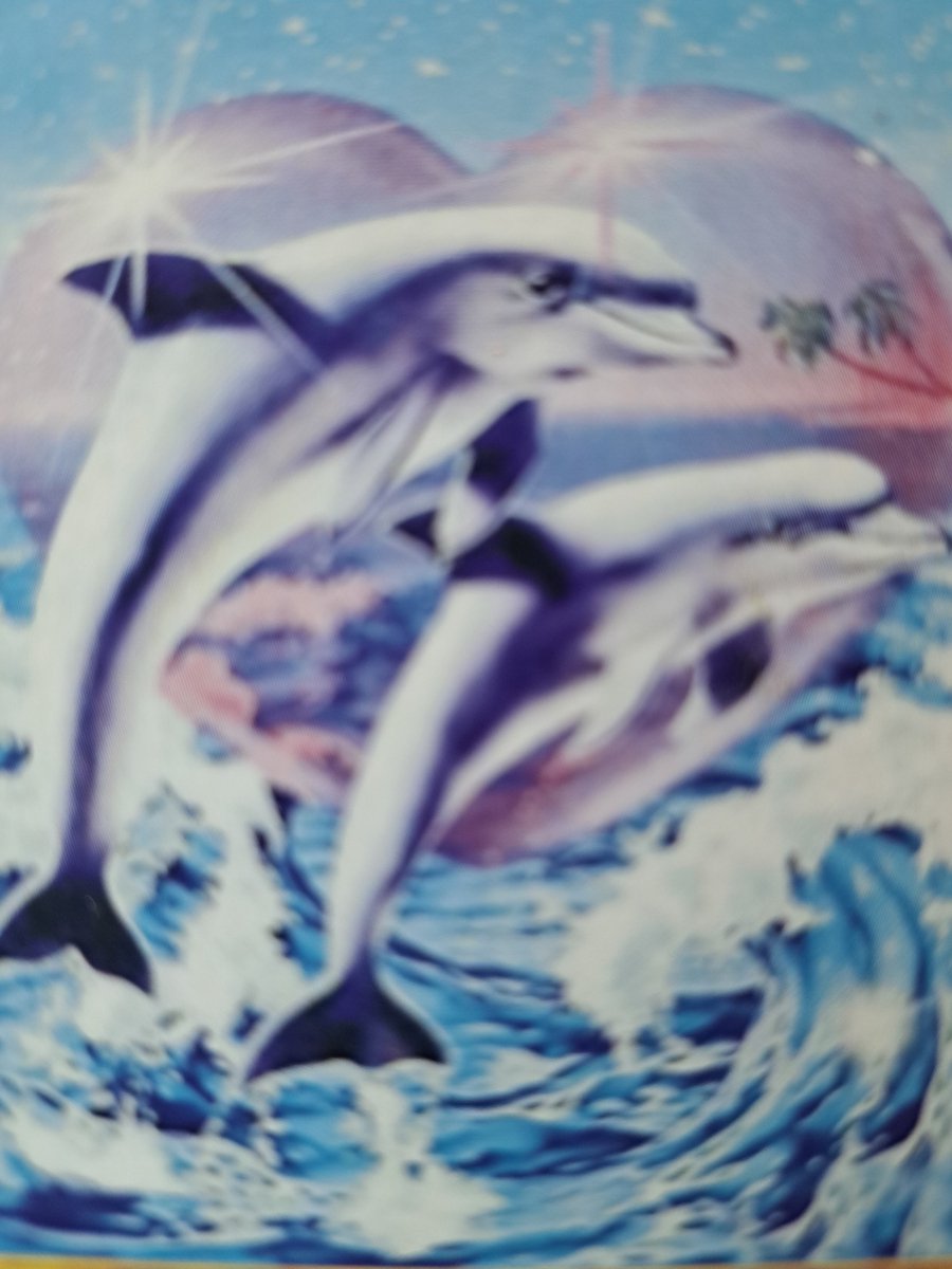 DIAMOND PAINTING Dolfijnen 40x50cm
