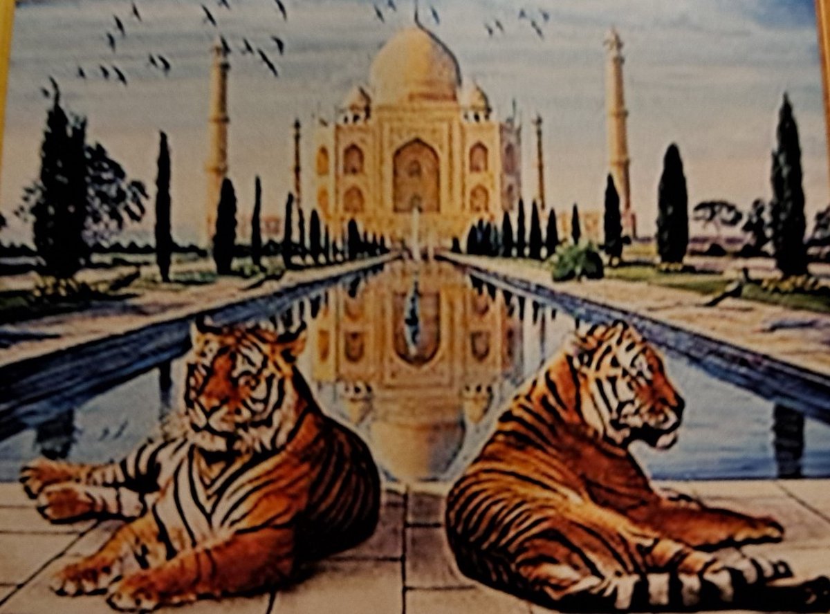 DIAMOND PAINTING TIJGERS 40X30CM