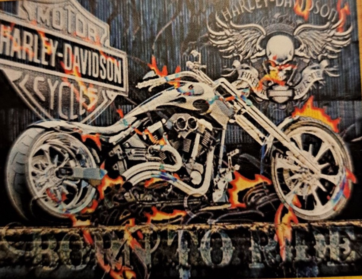 Diamond Painting Volwassenen - Diamond Painting Kinderen - Diamond Painting Pakket Volledig - Canvas - 50x40cm - Painting 45x35cm