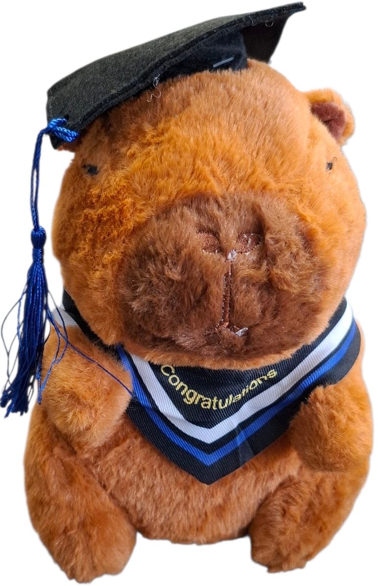Knuffel - capybara - student - 21cm - pluche - grappig - schattig - hip - kinderen - cadeau