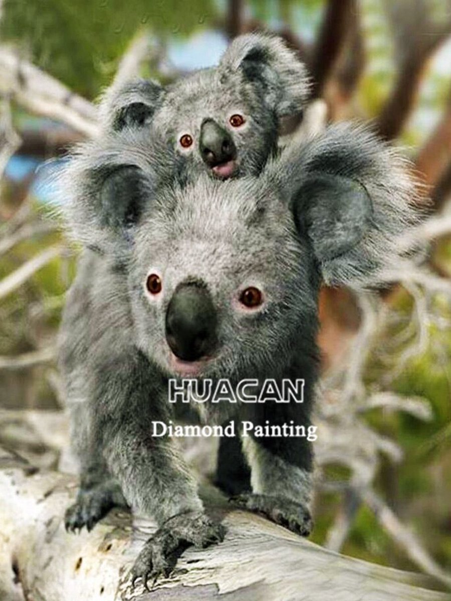 Diamond Painting - Koala - Kleurig - 30x40cm - Cadeau - Hobby - Vierkante Steentjes - Full Painting