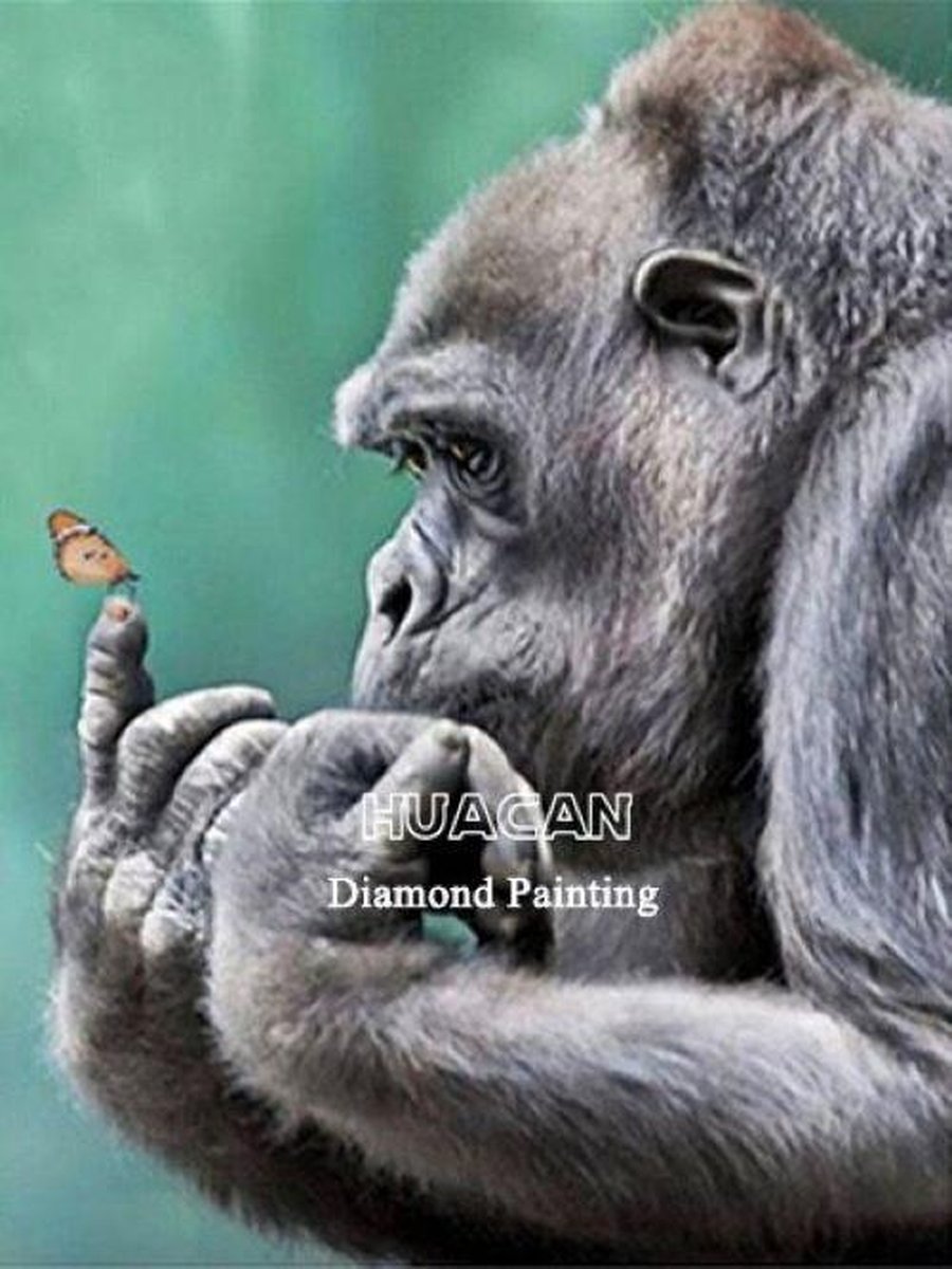 Diamond Painting Volwassenen - 40 x 50 cm – Gorilla - Vlinder - Diamond Painting - Full Painting - Kado - Moederdag - Kerst - Cadeau - Verjaardag - Vaderdag - Vierkante Steentjes - Diamond Painting Pakket volledig - Hobby – Painten - Plakken