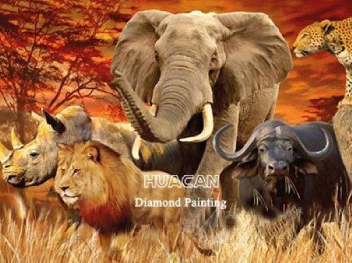 Diamond Painting Volwassenen - 60 x 80 cm – Big 5 - Grote Wilde dieren - Full Painting - Kado - Moederdag - Kerst - Cadeau - Verjaardag - Vaderdag - Vierkante Steentjes - Hobby en creatief volwassenen – Painten - Plakken