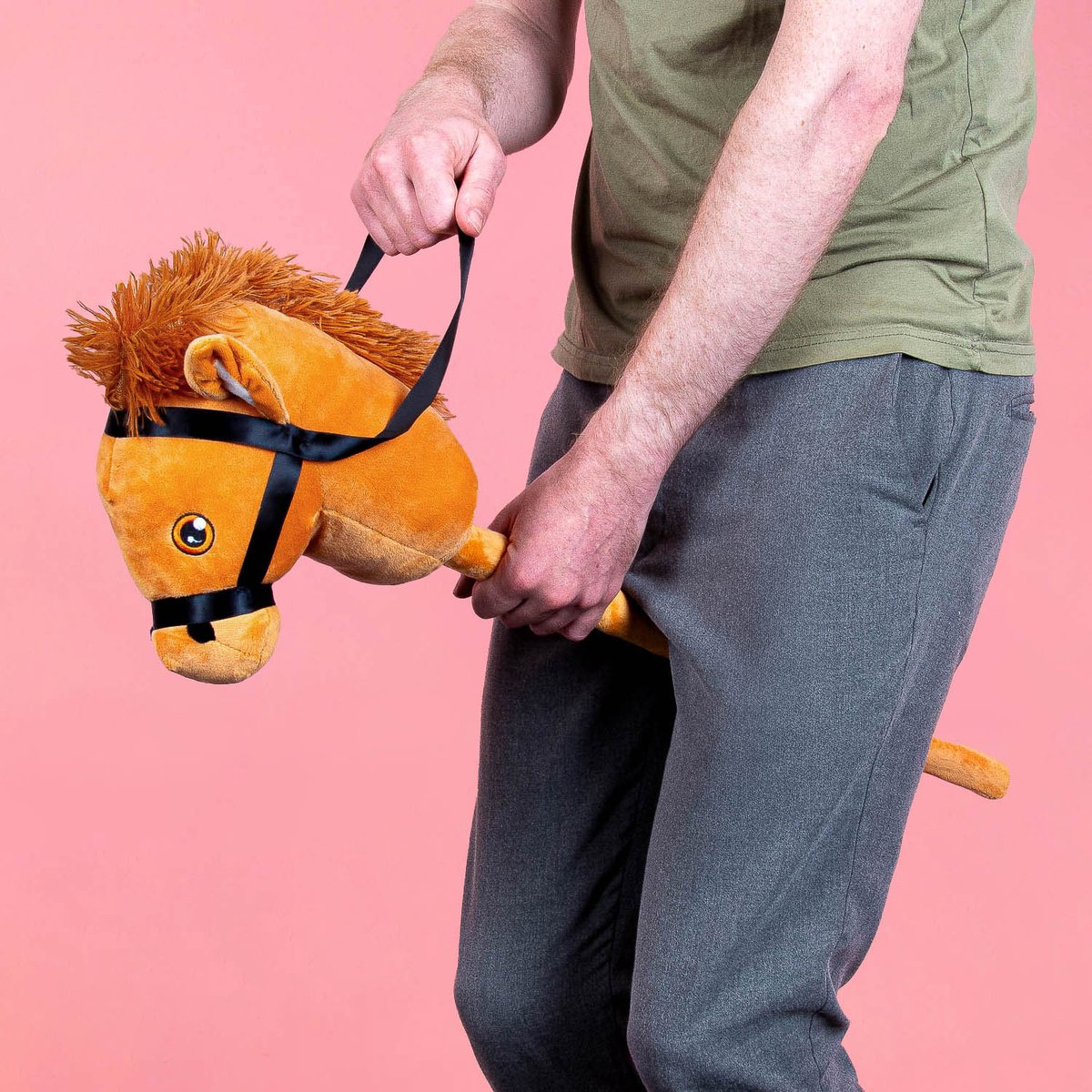 Stokpaardje - Paard van  