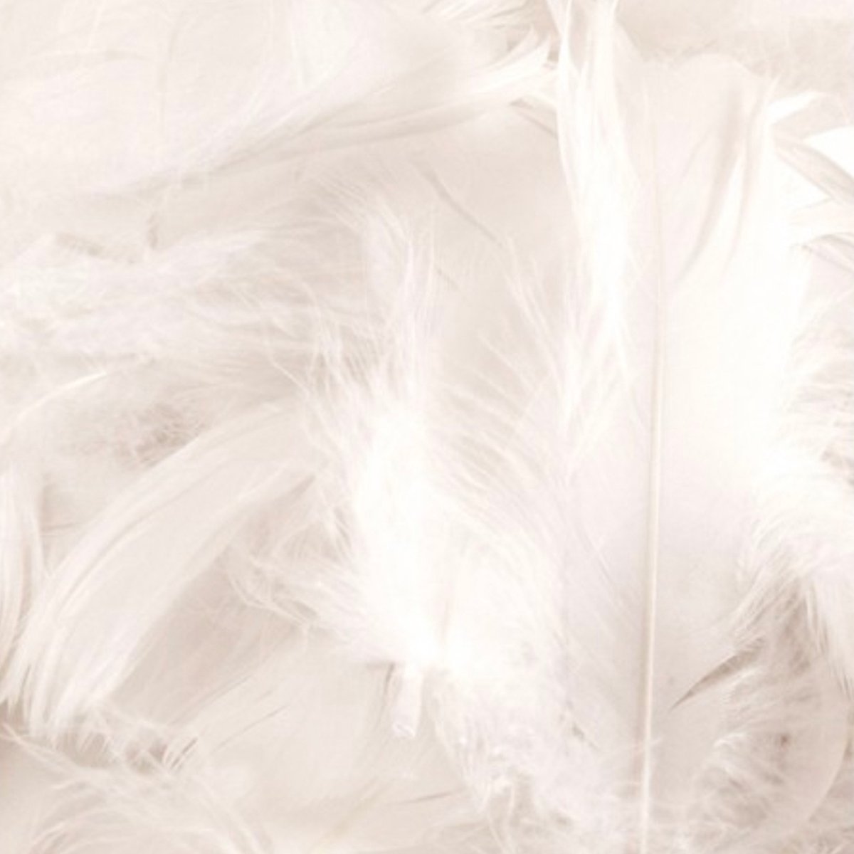 Eleganza Feathers – White – 50 g